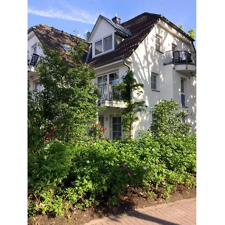 Raemel 38 - 17 * Zingst